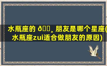 水瓶座的 🕸 朋友是哪个星座(水瓶座zui
适合做朋友的原因)